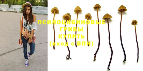бошки Алексин