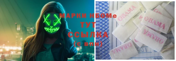 бошки Алексин