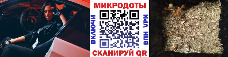 закладка  Мензелинск  Галлюциногенные грибы Cubensis 